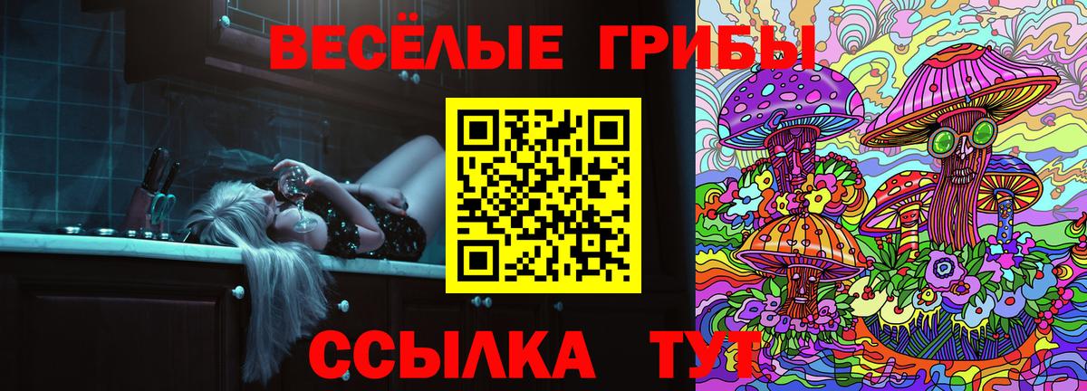 Псилоцибиновые грибы Psilocybe Черногорск
