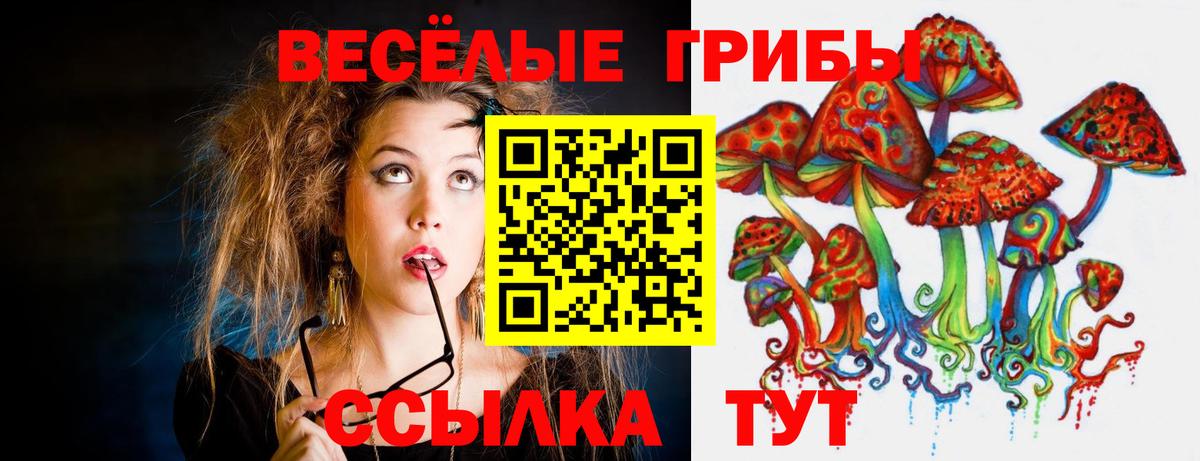 Черногорск  Галлюциногенные грибы GOLDEN TEACHER  Вход с VPN 